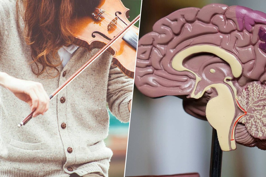 Hay personas a las que no les gusta la música y la ciencia ya sabe el porqué: un ‘cortocircuito’ en el cerebro